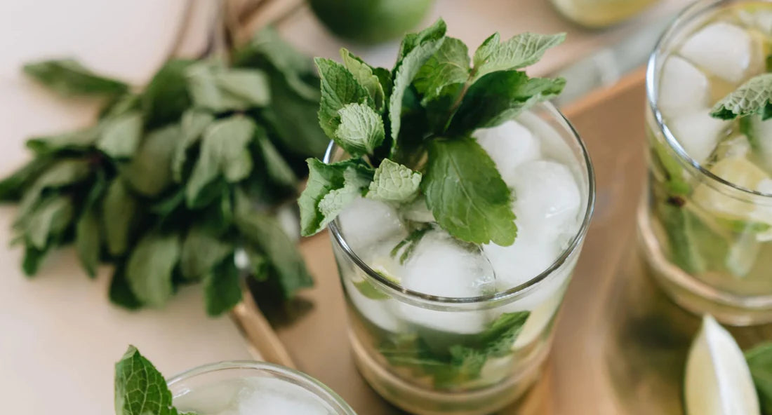 Easy Mojito Recipes to Make at Home